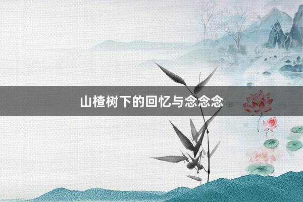 山楂树下的回忆与念念念